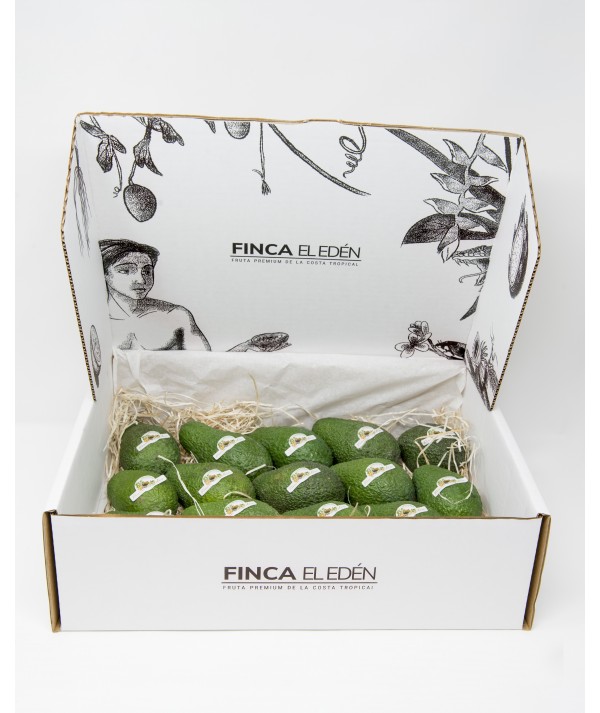 Aguacate Hass Bio (Origen: España)Caja 4 kg de aguacates ecológicos directos de finca, sin fitosanitarios, recién recolectado...