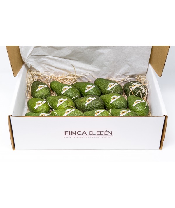 Aguacate Hass Bio (Origen: España)Caja 4 kg de aguacates ecológicos directos de finca, sin fitosanitarios, recién recolectado...