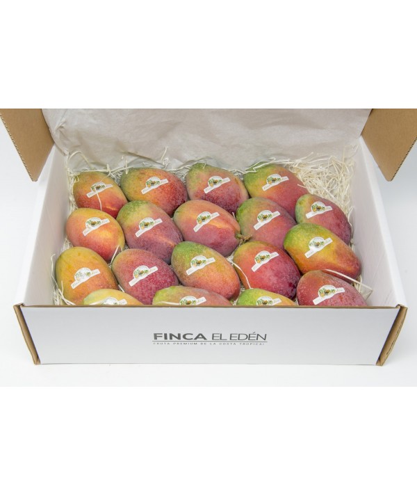 Mango Irwin Bio (Origen: España)Mango ecológico Irwin – Caja de 4 kg RECOLECTADO MADURO EN PLANTA · VARIEDAD GOURMET · SABOR ...