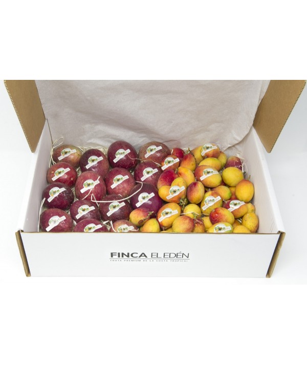 Caja Surtida de Mango Osteen+ Maracuyá Púrpura Bio(Origen: España)Surtido ecológico Mango + Maracuyá – Caja 4 kg 3 kg de mang...