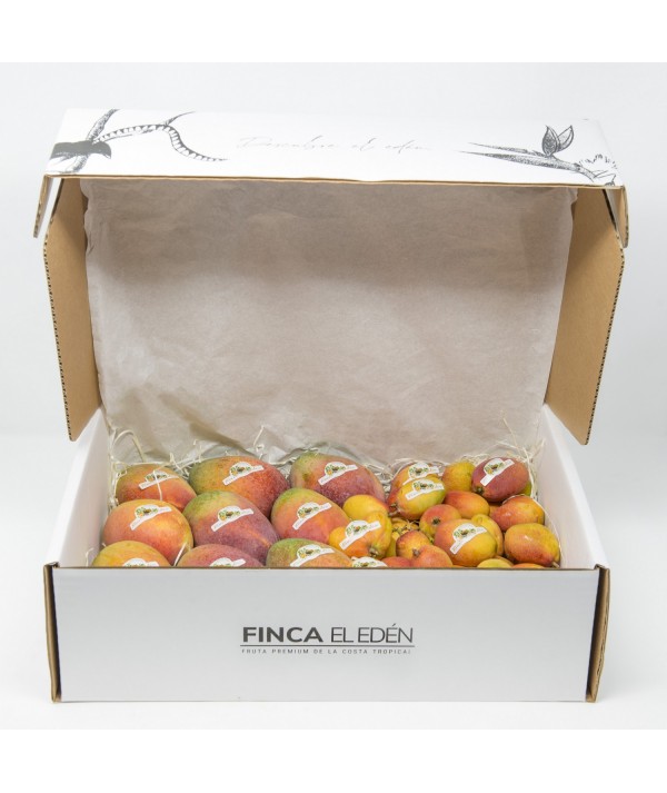 Caja Surtida de Mango Irwin + Mango Baby bio (Origen: España)Surtido ecológico Mango Irwin + Mango Irwin Baby – Caja 4 kg 2 k...