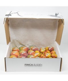 Caja Surtida de Mango Irwin + Mango Baby (Origen: España)Surtido de Mangos Irwin y Mangos Baby compuesto por 9 o 10 mangos Ir...