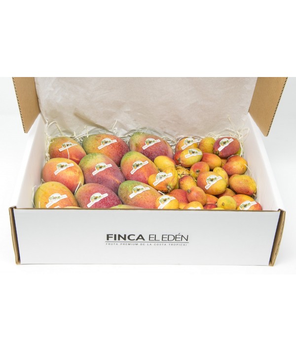 Caja Surtida de Mango Irwin + Mango Baby bio (Origen: España)Surtido ecológico Mango Irwin + Mango Irwin Baby – Caja 4 kg 2 k...