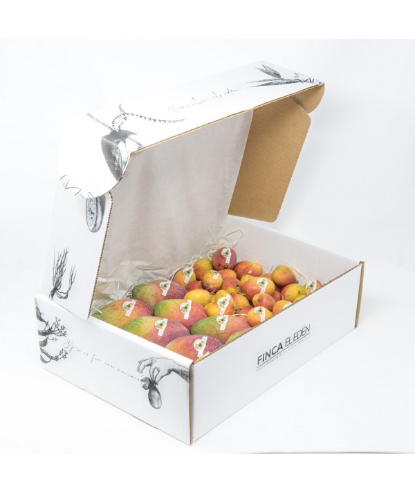 Caja Surtida de Mango Irwin + Mango Baby bio (Origen: España)Surtido ecológico Mango Irwin + Mango Irwin Baby – Caja 4 kg 2 k...