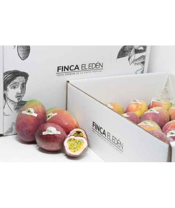 Caja Surtida de Mango Osteen+ Maracuyá Púrpura Bio(Origen: España) Caja surtido de aproximadamente 4 Kgrs. compuesta por Mang...