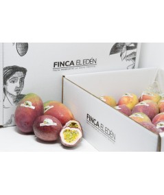 Caja Surtida de Mango Osteen+ Maracuyá Púrpura Bio(Origen: España) Caja surtido de aproximadamente 4 Kgrs. compuesta por Mang...