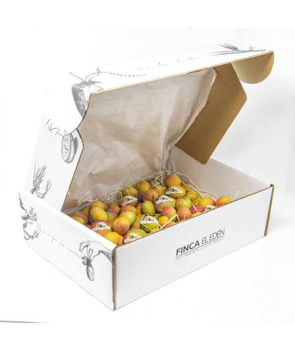 Mango Baby Bio (Origen: España)Mango ecológico Irwin – Caja de 4 kg TAMAÑO MINI · EXTRADULCE · UN BOMBÓN TROPICAL NATURAL COM...