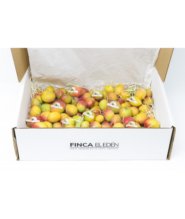 Mango Baby Bio (Origen: España)Mango ecológico Irwin – Caja de 4 kg TAMAÑO MINI · EXTRADULCE · UN BOMBÓN TROPICAL NATURAL COM...