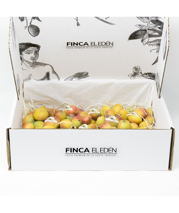 Mango Baby Bio (Origen: España)Mango ecológico Irwin – Caja de 4 kg TAMAÑO MINI · EXTRADULCE · UN BOMBÓN TROPICAL NATURAL COM...