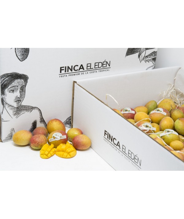 Mango Baby Bio (Origen: España)Mango ecológico Irwin – Caja de 4 kg TAMAÑO MINI · EXTRADULCE · UN BOMBÓN TROPICAL NATURAL COM...