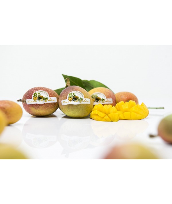 Mango Baby Bio (Origen: España)Mango ecológico Irwin – Caja de 4 kg TAMAÑO MINI · EXTRADULCE · UN BOMBÓN TROPICAL NATURAL COM...