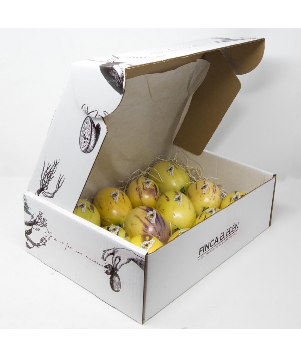 Pera - Melón (Origen: España)Pera Melón ecológica (Pepino Dulce) – Caja 4 kg FRUTA GOURMET DIFERENTE · SUAVE · ELEGANTE · ECO...