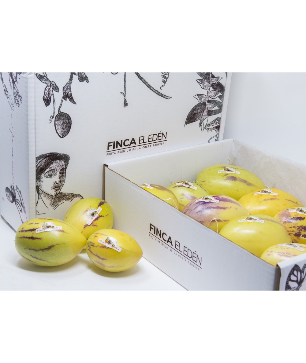 Pera Melón (Origen España)