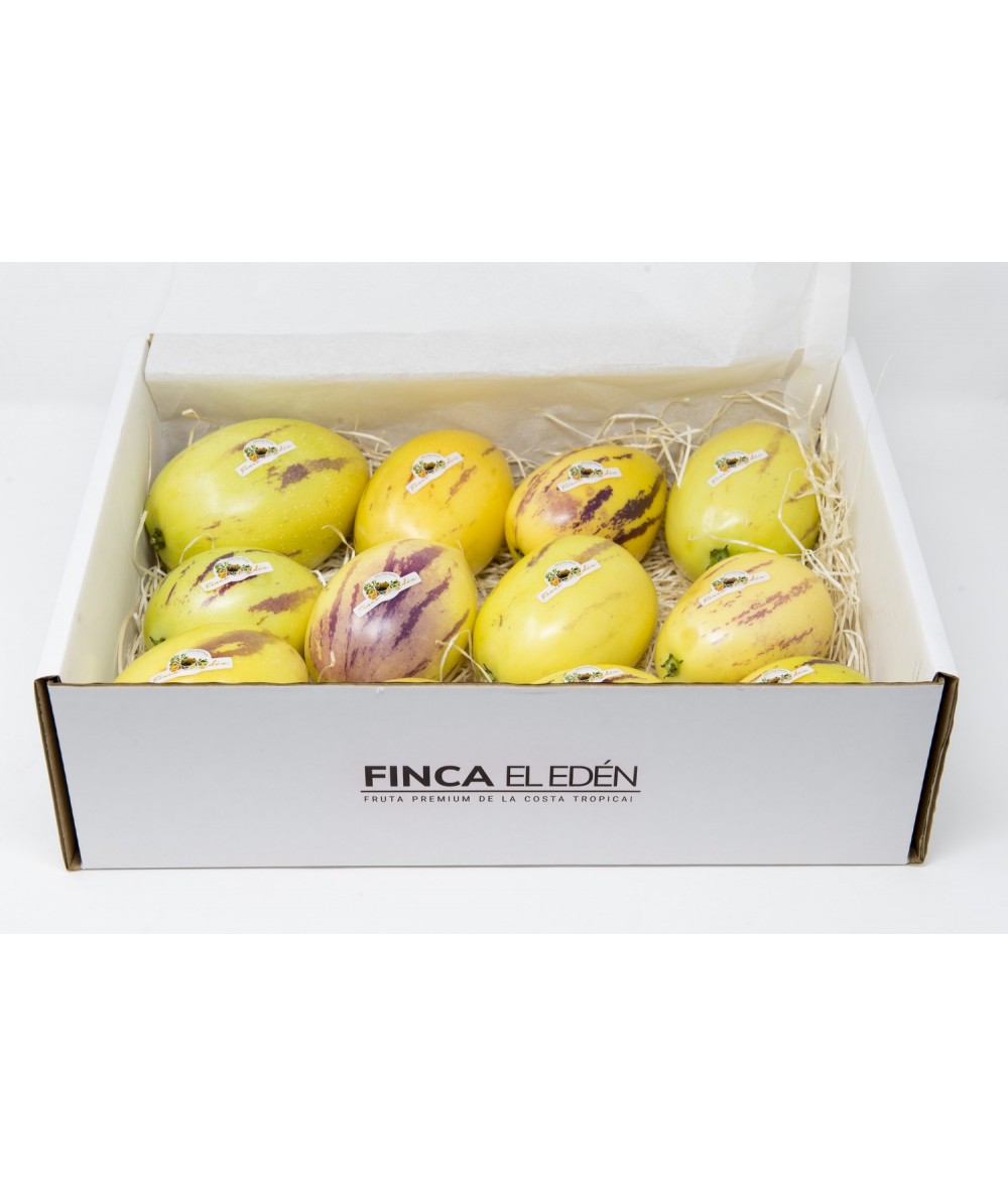 Pera Melón (Origen España)