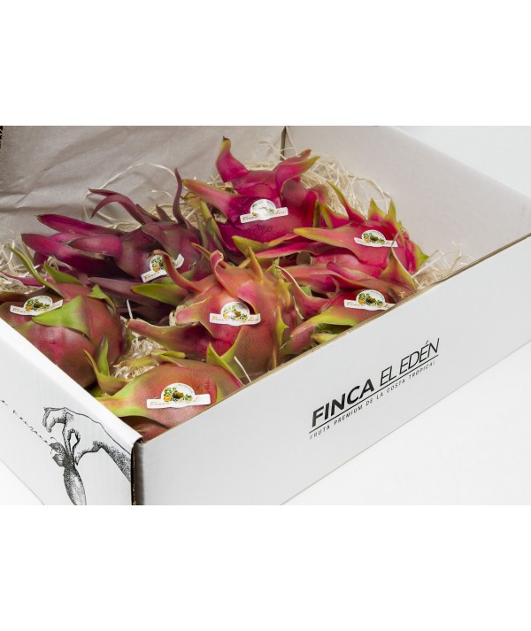 Pitaya o Fruta del Dragón Bio (Origen: España)Pitaya ecológica – Caja4 kg RECIÉN RECOLECTADA · VARIEDAD SEGÚN TEMPORADA · SAB...