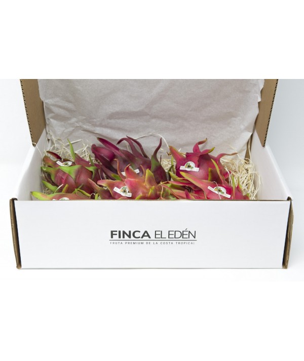 Pitaya o Fruta del Dragón Bio (Origen: España)Pitaya ecológica – Caja4 kg RECIÉN RECOLECTADA · VARIEDAD SEGÚN TEMPORADA · SAB...