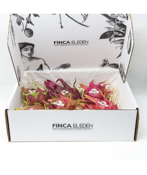 Pitaya o Fruta del Dragón Bio (Origen: España)Pitaya ecológica – Caja4 kg RECIÉN RECOLECTADA · VARIEDAD SEGÚN TEMPORADA · SAB...