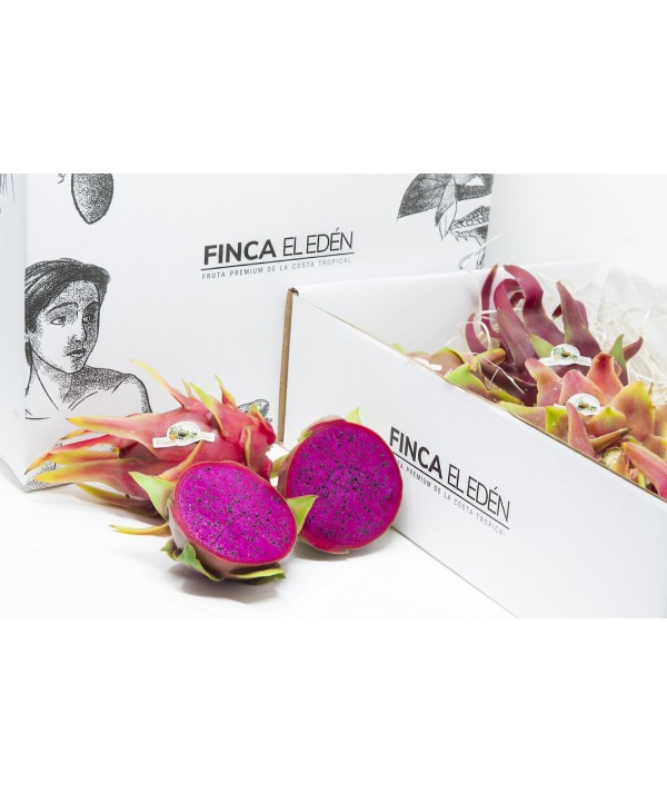 Pitaya o Fruta del Dragón Bio (Origen: España)Pitaya ecológica – Caja4 kg RECIÉN RECOLECTADA · VARIEDAD SEGÚN TEMPORADA · SAB...