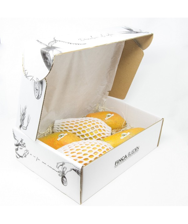 Papaya Bio (Origen: España)Papaya ecológica – Caja de 4 kg RECIÉN RECOLECTADA · MADURACIÓN NATURAL EN CASA · DULCE Y JUGOSA C...