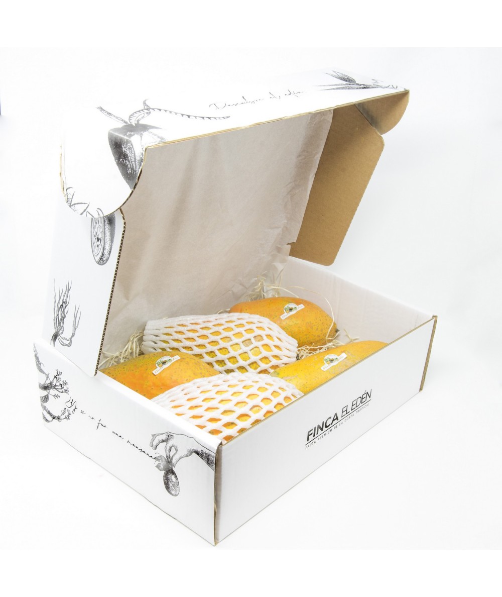 Papaya Bio (Origen: España)Papaya ecológica – Caja de 4 kg RECIÉN RECOLECTADA · MADURACIÓN NATURAL EN CASA · DULCE Y JUGOSA C...