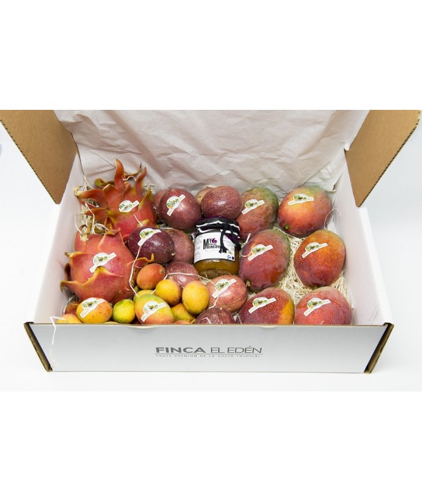 Surtido Degustación Tropical Bio (con Mango) (Origen: España)Surtido Degustación Tropical con Mango – Caja Experiencia Comple...