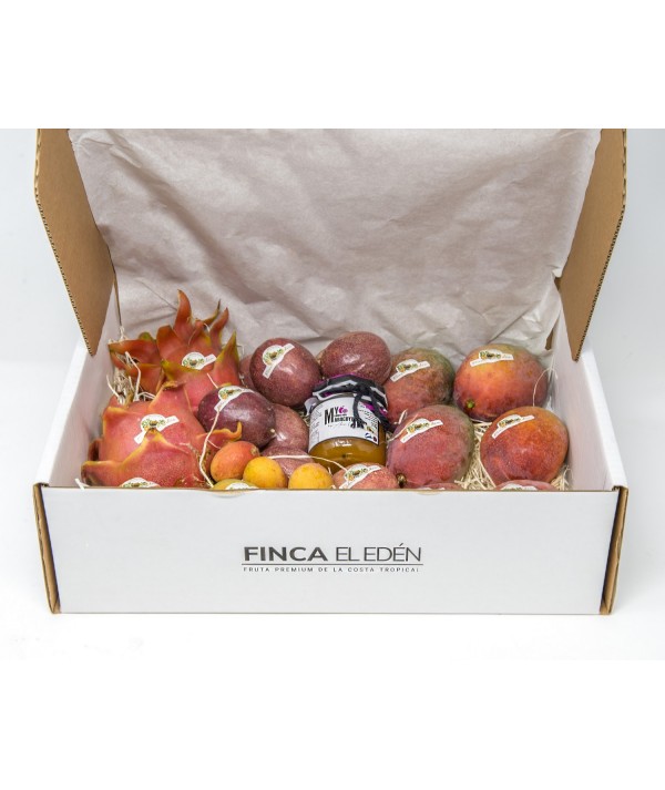 Surtido Degustación Tropical Bio (con Mango) (Origen: España)Surtido Degustación Tropical con Mango – Caja Experiencia Comple...