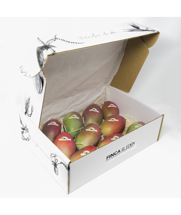 Mango Osteen Bio (Origen: España)Mango ecológico Osteen – Caja de 4 kg  ENVIADO VERDE PARA PROTEGER EL TRANSPORTE · MADURACIÓ...