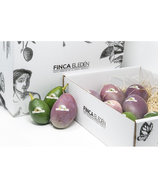 Caja Surtida de Mango + Aguacate Bio (Origen: España)Surtido ecológico Aguacate + Mango – Caja 4 kg 2 kg de aguacate ecológic...