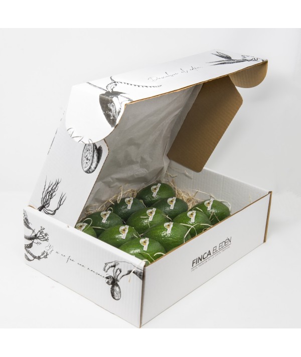 Aguacate Bacon Bio (Origen: España)Aguacate ecológico Bacon – Caja de 4 kg PIEL LISA · VERDE INCLUSO CUANDO ESTÁ MADURO · TEX...