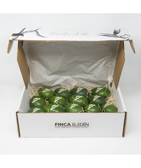 Aguacate Bacon Bio (Origen: España)Aguacate ecológico Bacon – Caja de 4 kg PIEL LISA · VERDE INCLUSO CUANDO ESTÁ MADURO · TEX...