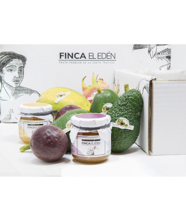 Surtido Degustación Tropical Bio (con Aguacate) (Origen: España)Surtido Degustación Tropical con Aguacate – Caja Experiencia ...