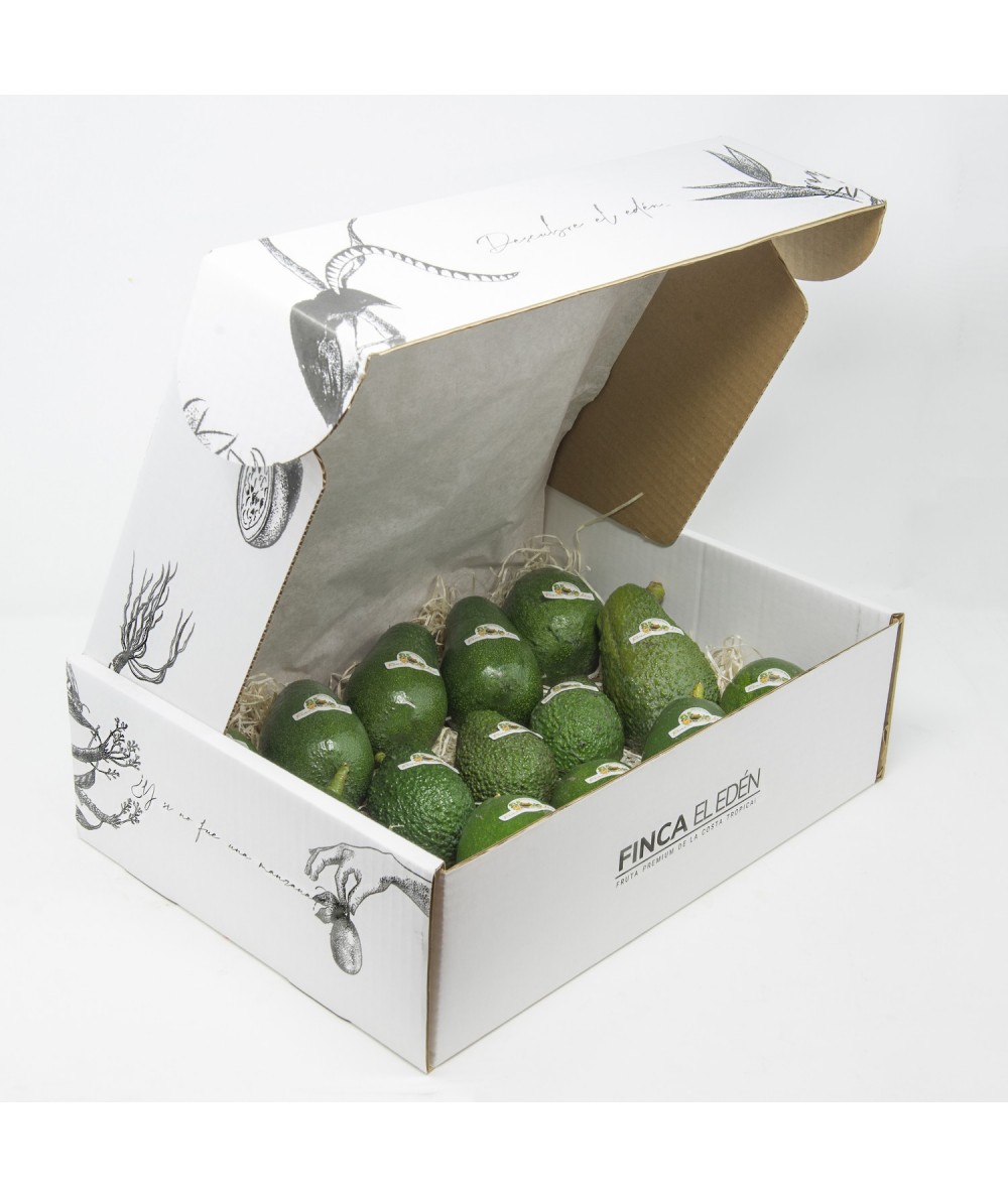 Caja Surtida de Aguacate Bio (Origen: España) BACON Y HASSCaja Surtida de Aguacates Ecológicos – 4 kg SELECCIÓN DE TEMPORADA ...