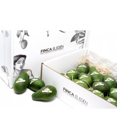Aguacate Maluma Bio (Origen: España) Caja 4 kg de aguacates ecológicos directos de finca, sin fitosanitarios, recién recolect...