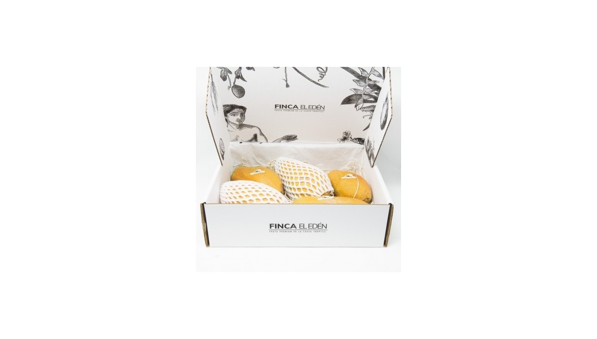 Recetas de papaya saladas, una nueva manera de enriquecer tu dieta