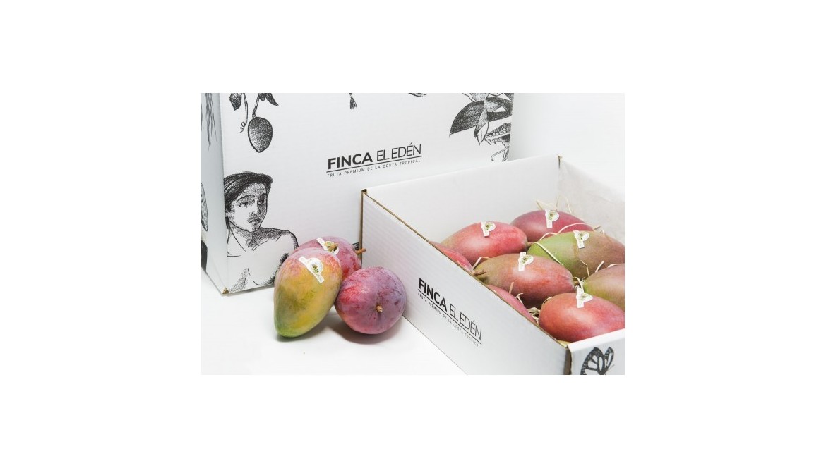 Propiedades del mango, una grata manera de mantenerte saludable