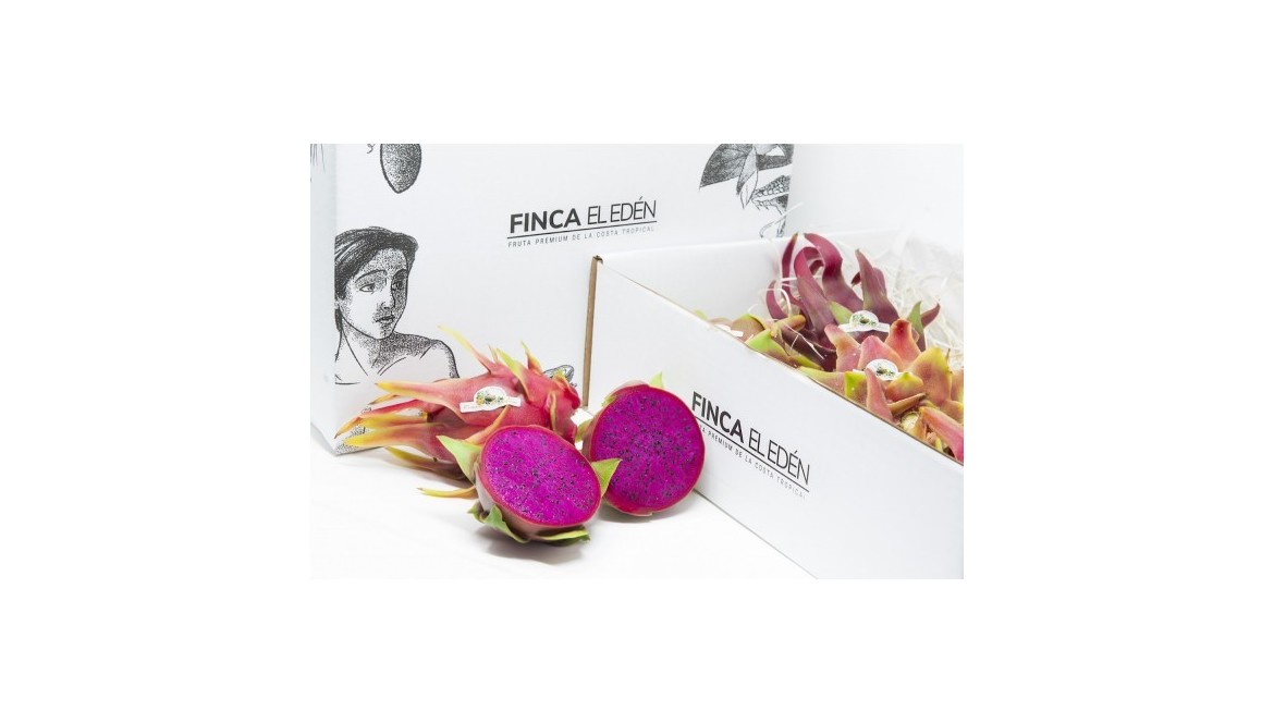 Pitaya: 10 recetas prácticas y rápidas para elaborar con esta fruta